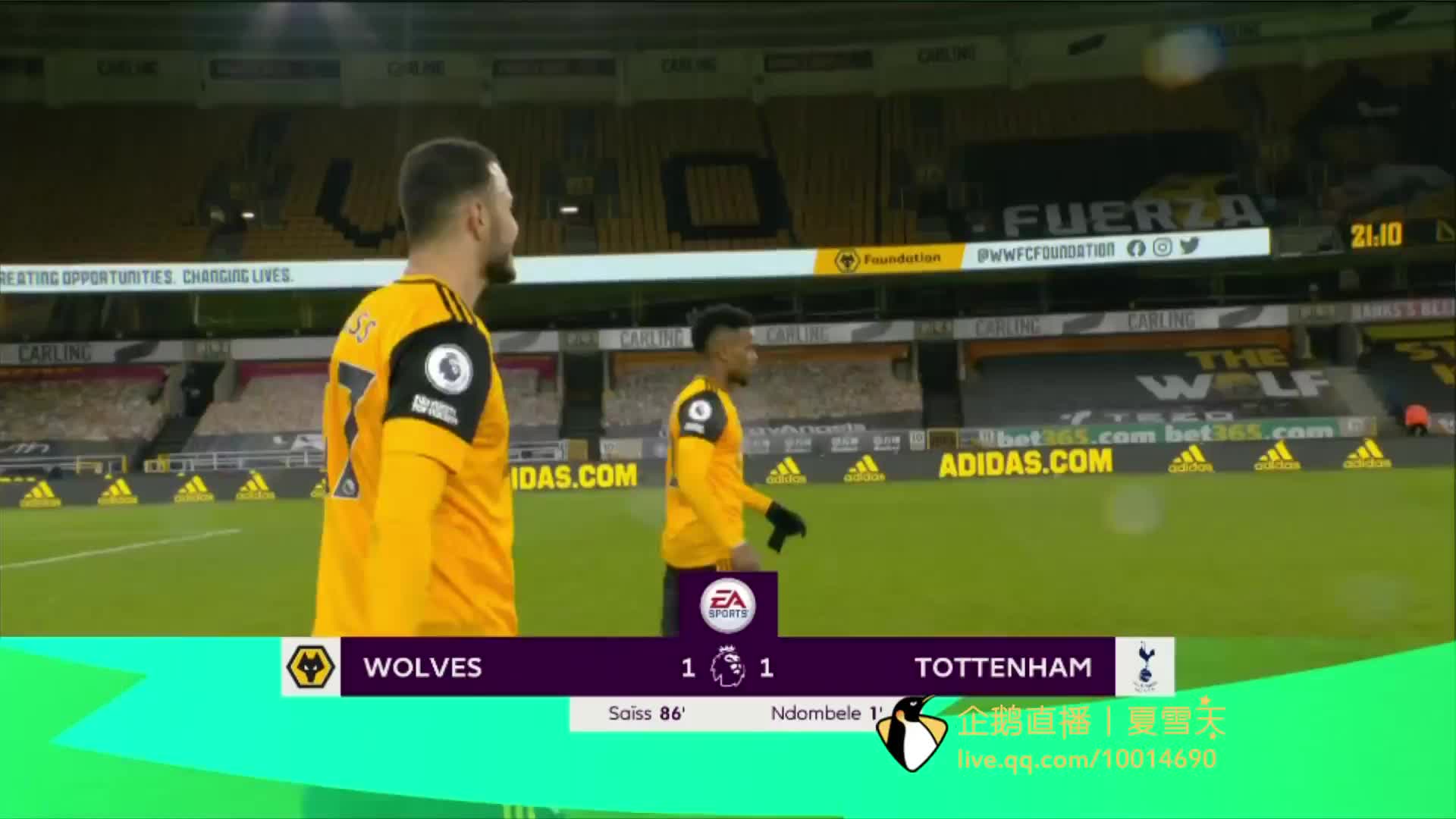 稳定强队的 稳定强队的